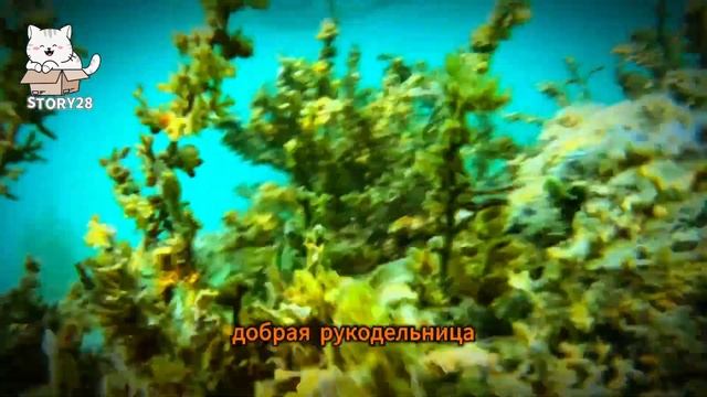 Свекровь нахваливает свою дочь смотреть онлайн