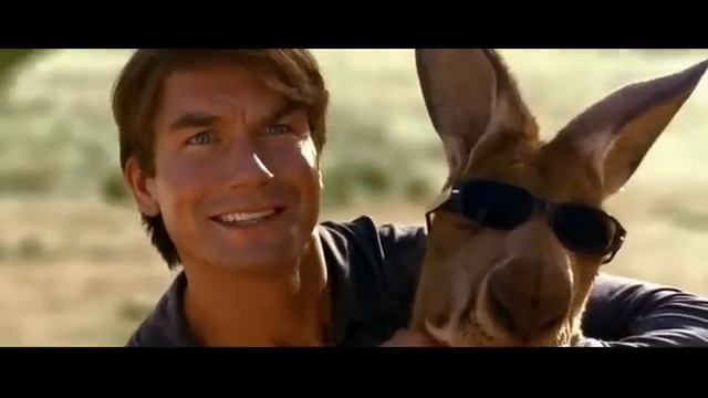 кенгуру  джекпот