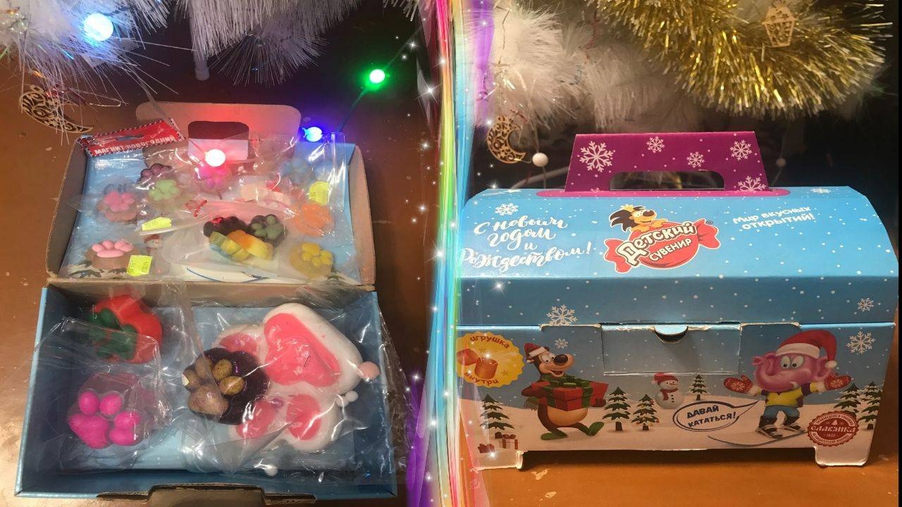 Обзор на маленькие таболапки