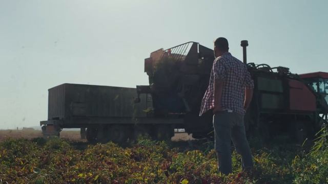 Dobry Португалия