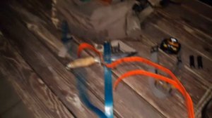 Охота с лайками на барсука.