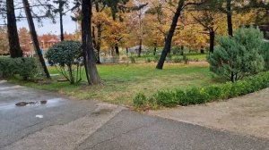 Обзор: санаторий Знание Адлер 2024 ноября Znanie Adler Sanatorium November 2024