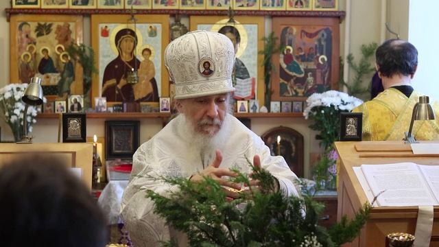 Проповедь епископа Амвросия (Тимрота) на праздник Рождества Христова, 7 января 2025 года смотреть онлайн