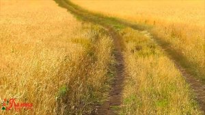 СМОТРЕТЬ ВСЕМ!!! Песня "МОЛОДОЙ АГРОНОМ". Ансамбль Калина. Russian folk song...