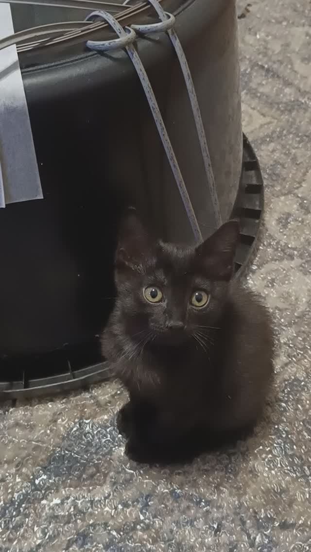 Кашпо из ротанга без дренажных отверстий в дне смотреть онлайн