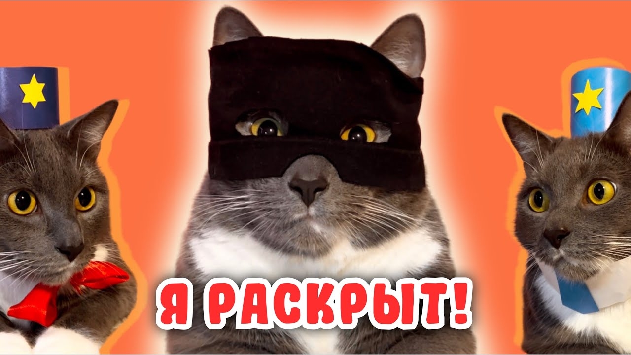 Если бы котики СТАЛИ ПОЛИЦЕЙСКИМИ! смотреть онлайн