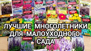 СЕМЕНА ЦВЕТОВ НА 2025 ГОД// ЛУЧШИЕ МНОГОЛЕТНИКИ ДЛЯ САДА