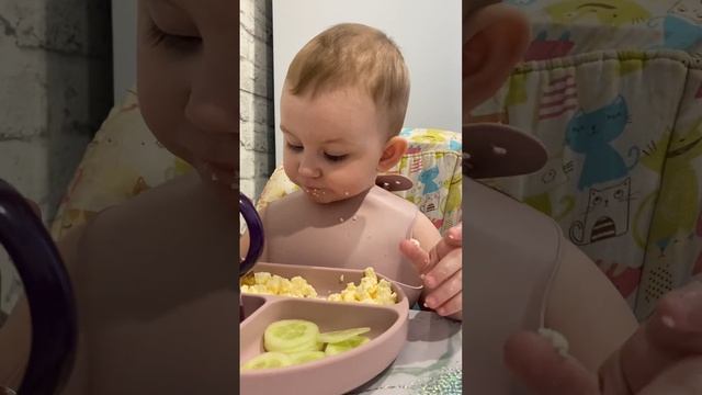 Завтрак ребенка 1,3 года🍳 Тг Mama_Iri #мамавдекрете #материнство #мамаблог #семейныйвлог #завтрак смотреть онлайн
