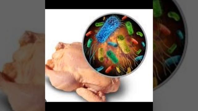 CARDAMOM/IHIRIKI. IKIRUNGO GIHAGARARIYE IBINDI смотреть онлайн