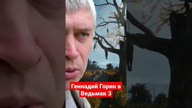 Геннадий Горин в Ведьмак 3 #геннадийгорин #горин #thewitcher3 смотреть онлайн