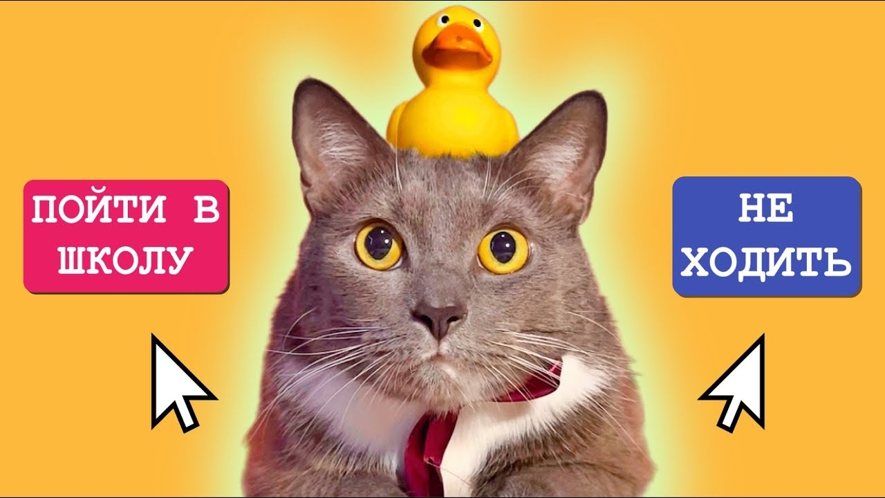 КОТИКИ В ШКОЛЕ - ИГРА смотреть онлайн