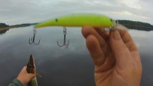 Рыбалка на троллинг .Зарыбляем Селигер.