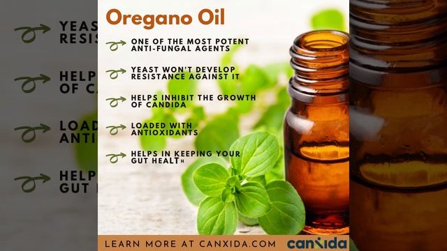 5 Benefits and Uses of Oregano Oil #shorts #candidacleanse смотреть онлайн