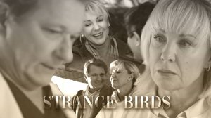 Павлова и Кривицкий - Strange Birds | Склифосовский