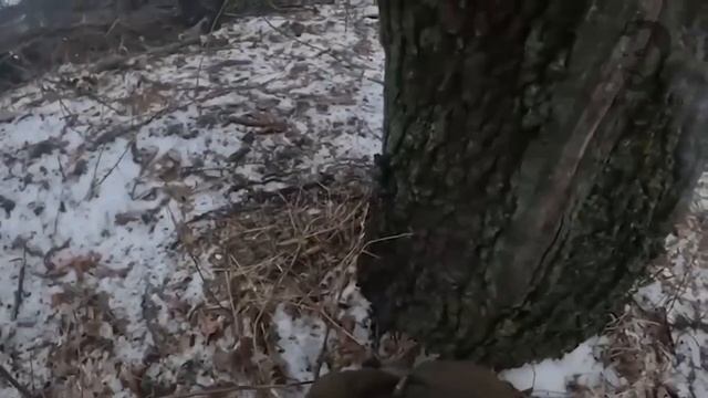 Штурм смотреть онлайн