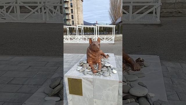 памятник Шарику Лазаревское смотреть онлайн