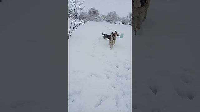 ВЕО ЗИМОЙ! смотреть онлайн
