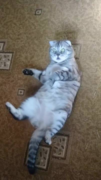 Когда длинные выходные закончились и завтра на работу смотреть онлайн