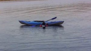 G3,7 особенности