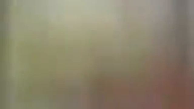 торты смотреть онлайн