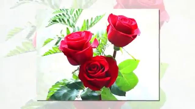 С Днем Рождения Вере смотреть онлайн