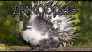 ⚡️Защита от токсичного окружения. Саблиминал Унисекс