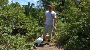 ✅На сколько безопасны Пивные КЕГИ 😨 Не ожидал такой ЛЮТИ 💥 Пёсик отомстил.