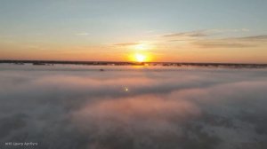 АртЛуга. Полёт лебедя навстречу солнцу