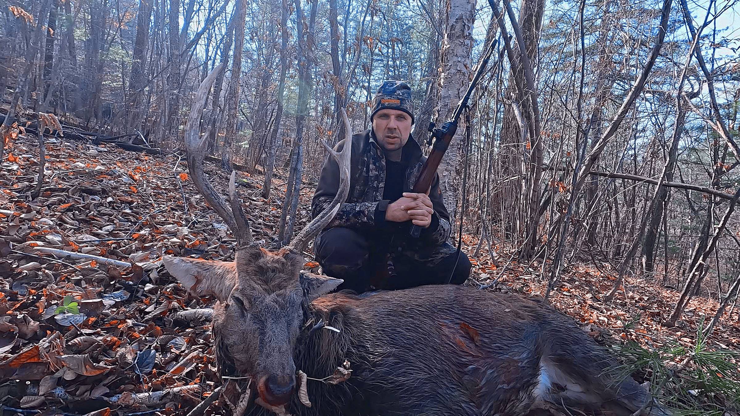 Охота на Оленя.\\ Трофейный Олень.\\Октябрь. смотреть онлайн