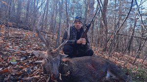 Охота на Оленя.\\ Трофейный Олень.\\Октябрь.