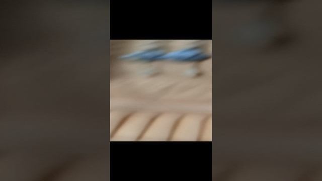 Обзор❃.✮:▹　◃:✮.❃