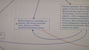 Наши правила продажи пчелиных маток