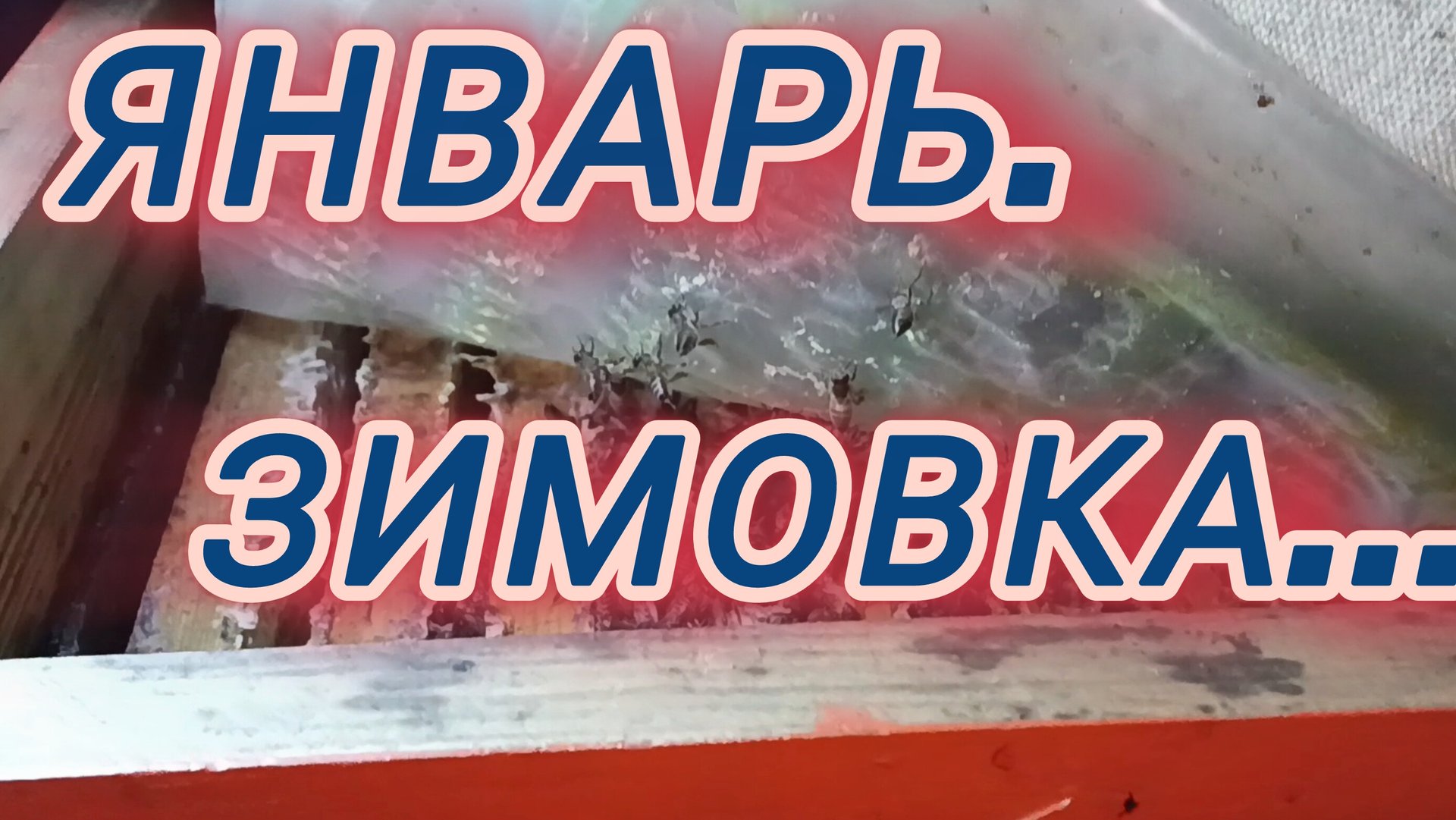 Январь.Зимовка смотреть онлайн