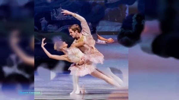 Hailey Bieber - The Ballet 🩰🥀✨#shorts #viral #status