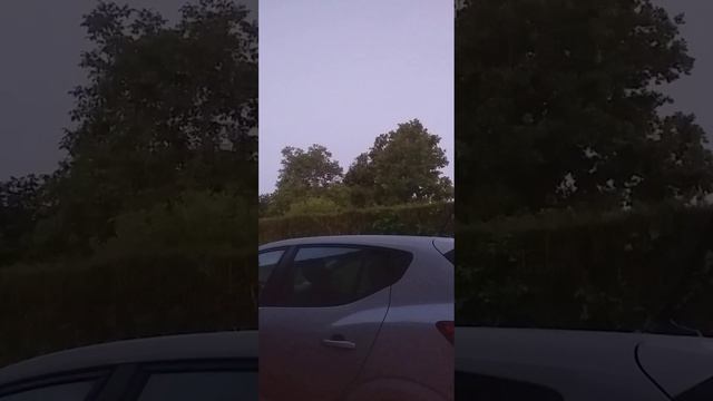 утреннее пение птиц 02.06.23(1) смотреть онлайн