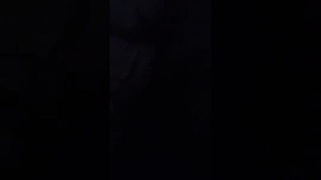 Вставай шашлык смотреть онлайн