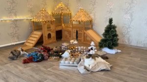 построили секретную комнату для милси (Ану ка давай ка)