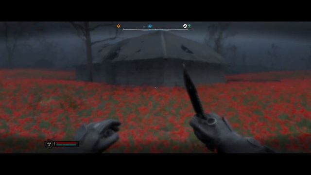 S.T.A.L.K.E.R 2 Локация маковое поле артефакт Странный цветок