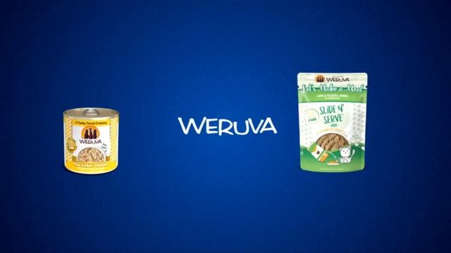 Best Wet Cat Food in 2019 | 9 TOP RATED Wet Cat Foods смотреть онлайн