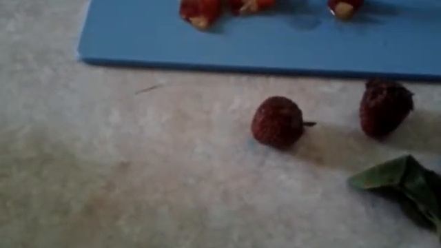 Амина готовит со мной вишневое мороженое. смотреть онлайн