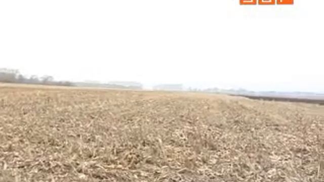 Аграриям вдвое сократили бюджетное финансирование смотреть онлайн