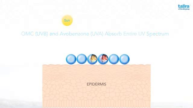 Encapsulated UV filters-SunCaps™ from Tagra and Glenn смотреть онлайн