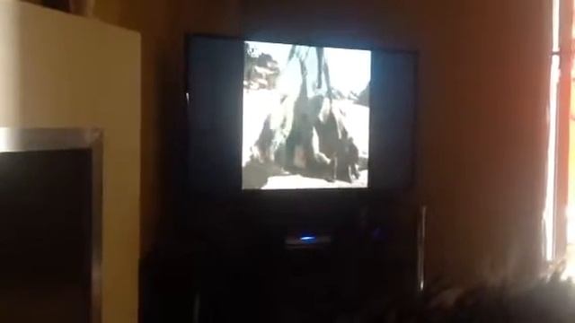Reign of dinosaurs getting atacked смотреть онлайн