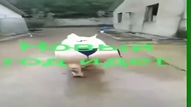 Хорошая свинья в трусах. смотреть онлайн