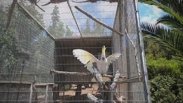 Зоопарк Пафос, Кипр, серия 2 смотреть онлайн