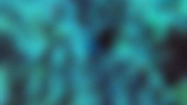 dubbele reef dive смотреть онлайн