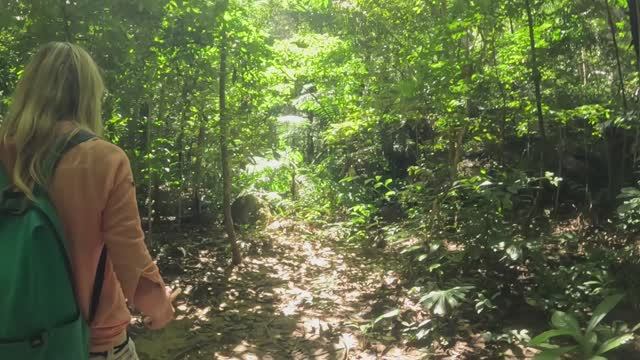 Тайланд. Краби. По тропическому лесу. Часть2 смотреть онлайн