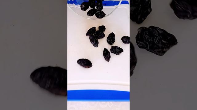 Очень полезный и вкусный салат. Кызылча дан салат #shorts #salad #салат смотреть онлайн