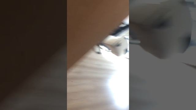 Брат часто соску смотреть онлайн