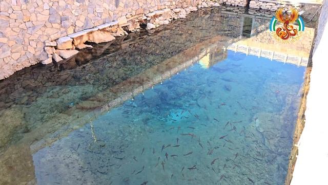 Обзорная Нурата